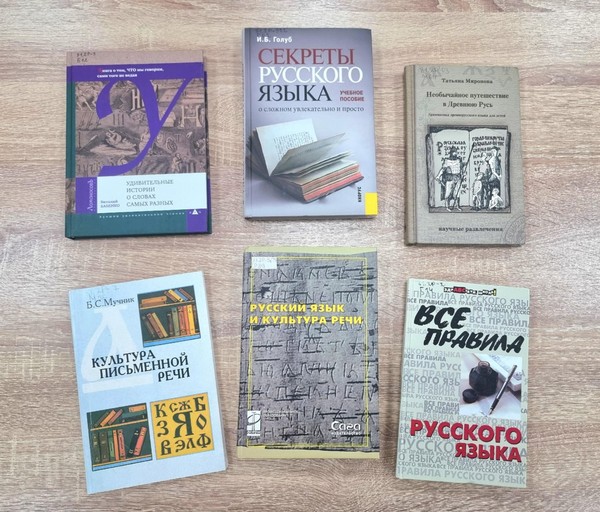 Библиодень «Все грани грамотности»