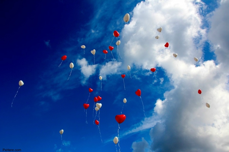 VI фестиваль воздушных змеев
