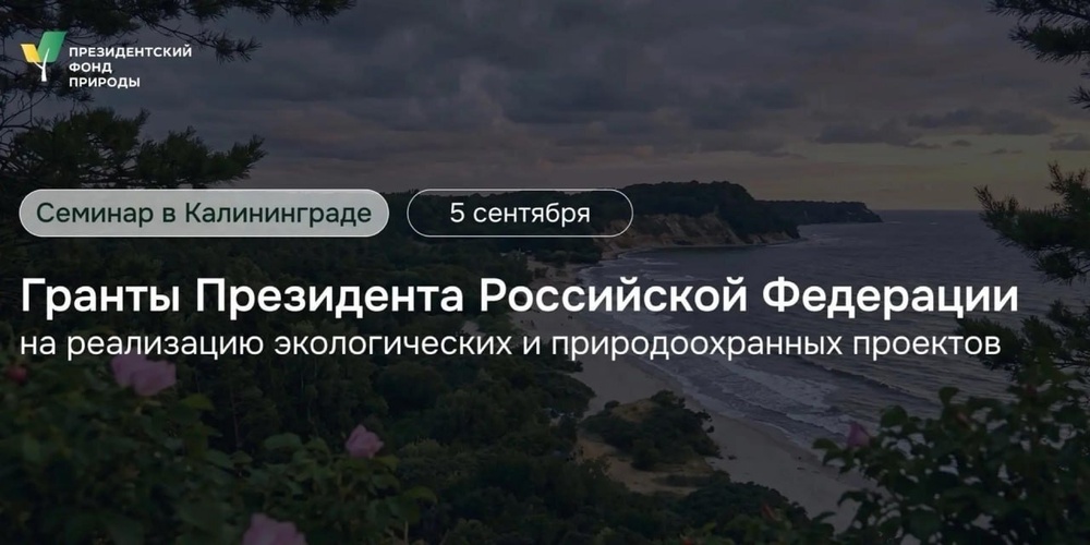 Гранты Президента Российской Федерации на реализацию экологических и природоохранных проектов