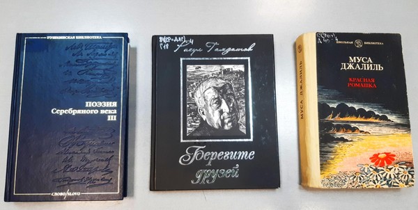 Литературная программа «Поэзия без границ»