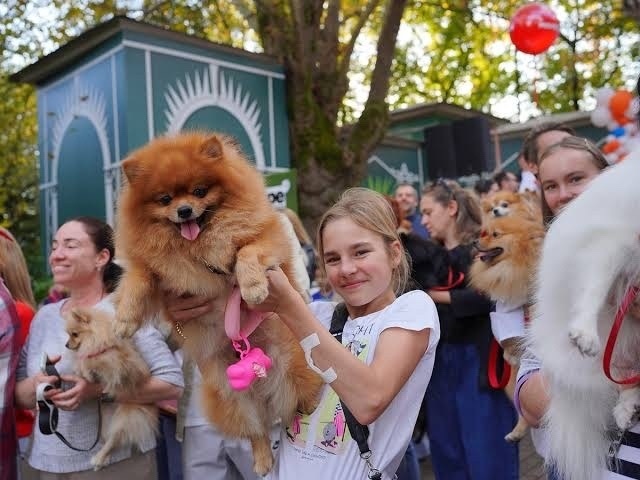 Шпицевстреча