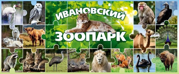 Акция ко Дню открытия зоопарка в Иванове
