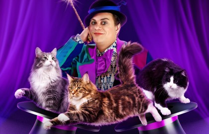 Волшебные кошки