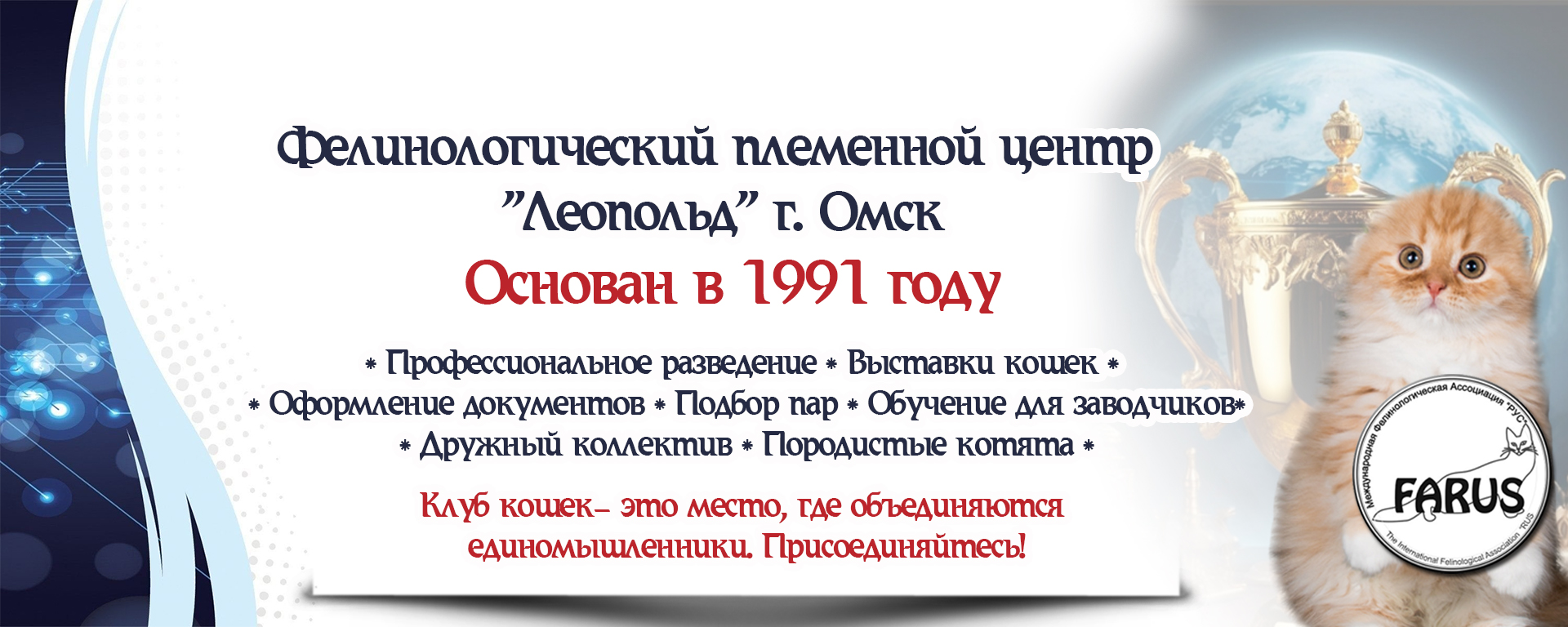 Клуб любителей кошек Леопольд