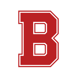 Проект "Лучшие спикеры"