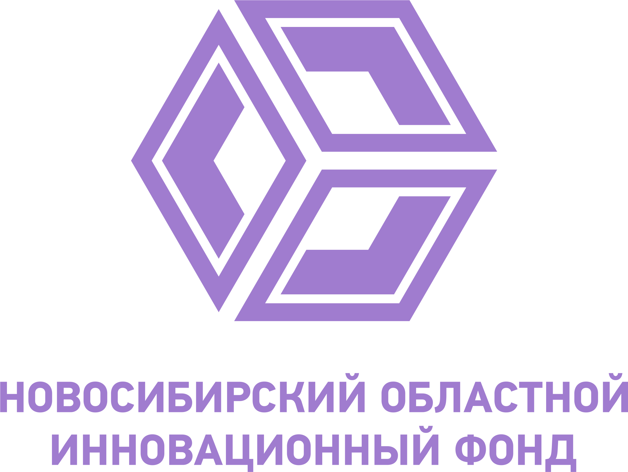 ГАУ НСО "Новосибирский областной инновационный фонд"