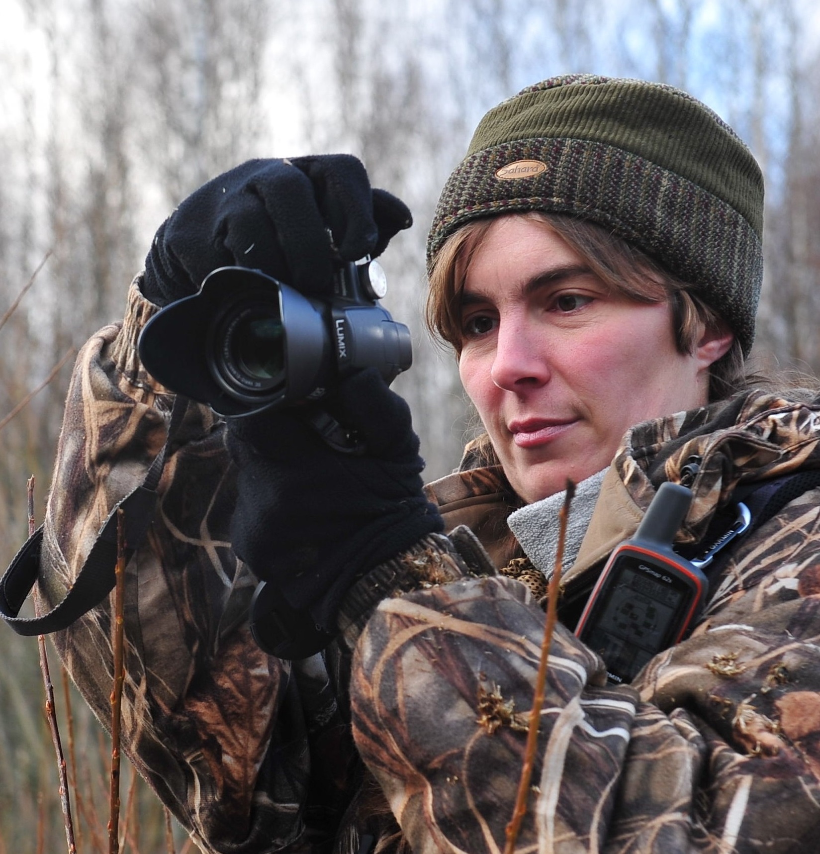 Елена Литвинова