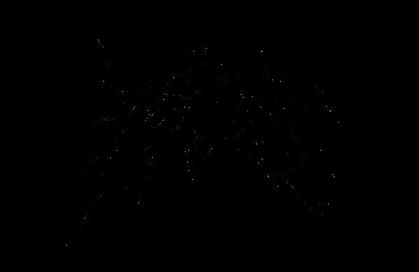 Питя Шпагин