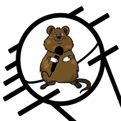 Quokka bar