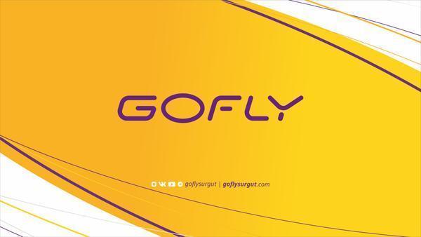Спортивный аэрокомплекс GOFLY