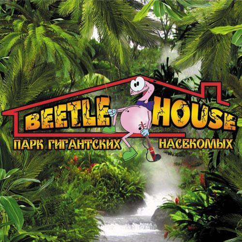 Парк гигантских насекомых "Beetle House"