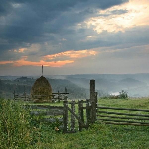 Национальный парк Вепсский лес