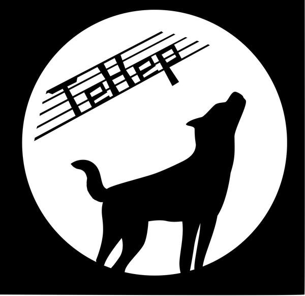 Театр-студия ТеНер