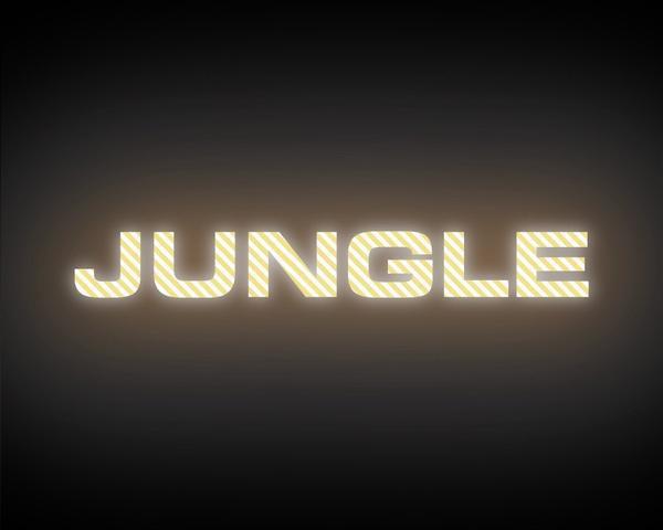 Jungle, ночной клуб