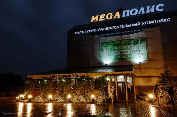 Летняя веранда кафе Золотой гусь