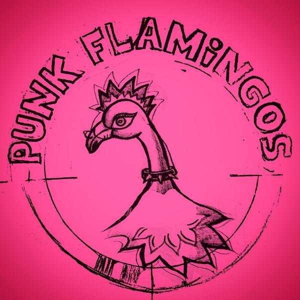 Punk Flamingos