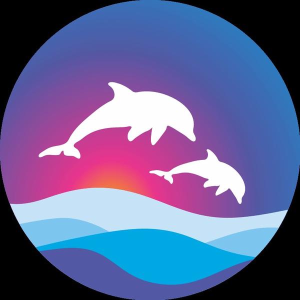 Большой Сочинский дельфинарий