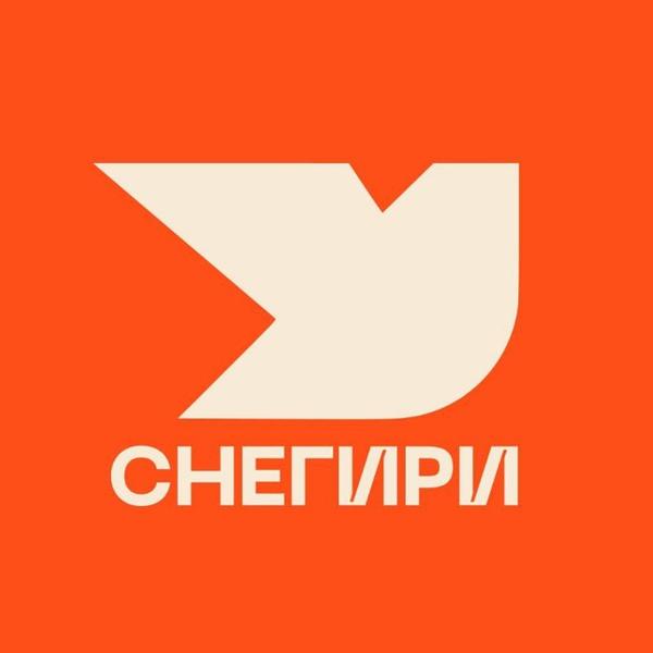 НИИ «Снегири»