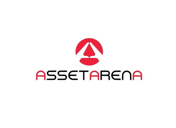Ассет Арена (Светлое Поле)
