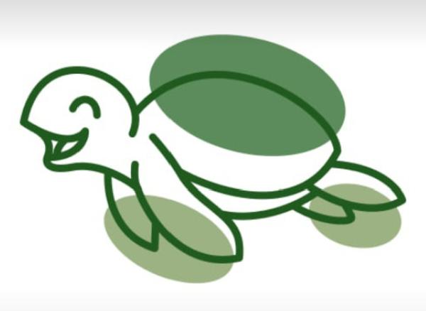 Студия Зелёная черепаха