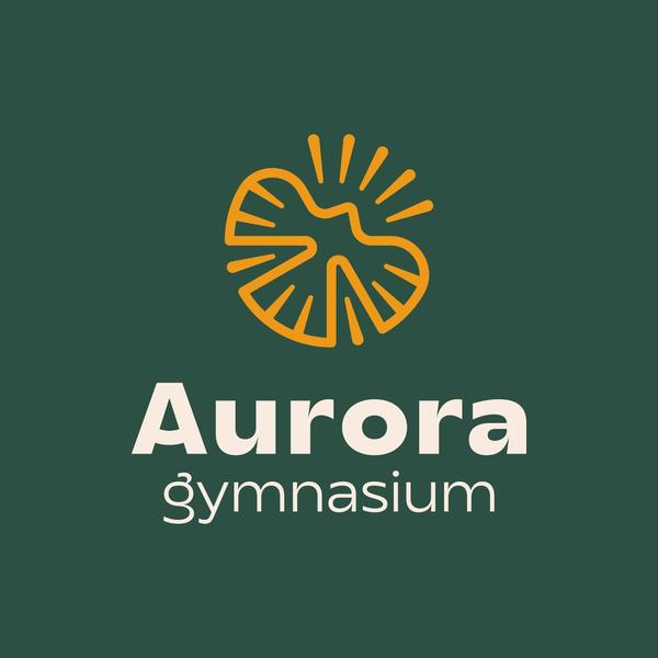 Гимназия «Аврора»