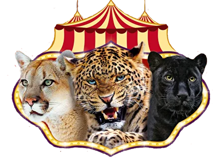 Цирк-шапито Circusland