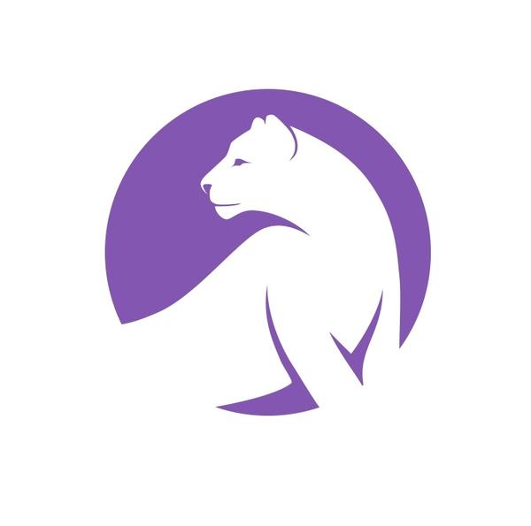 Ирбис на Костычева