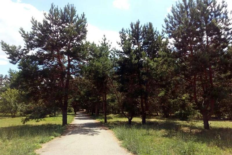 Дендропарк