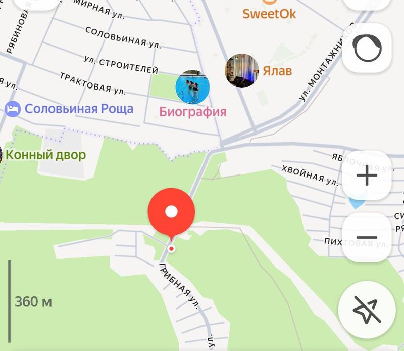 остановка СНТ Лесная поляна, район Патрушева