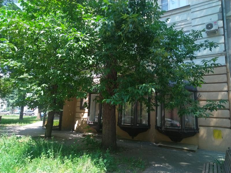 Народный музей Есенина